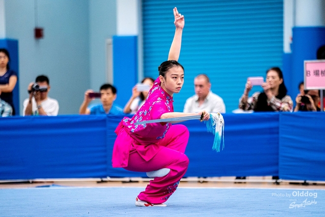 Wushu-241