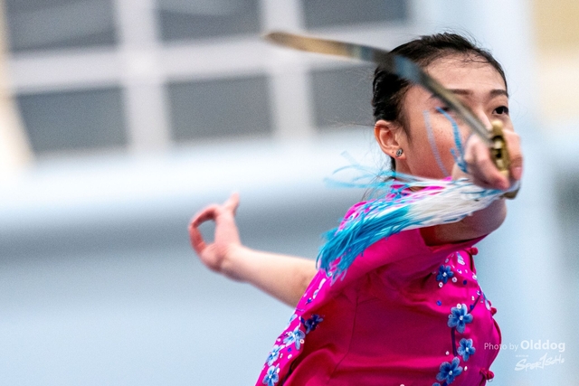 Wushu-243