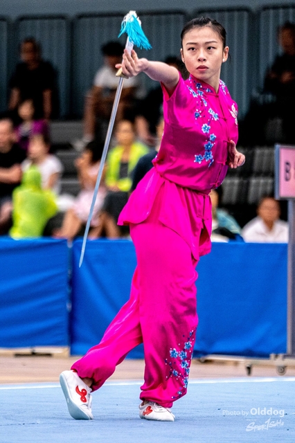 Wushu-244