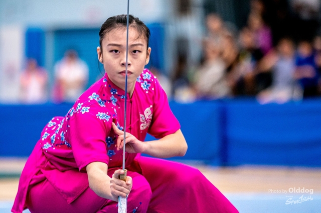 Wushu-247
