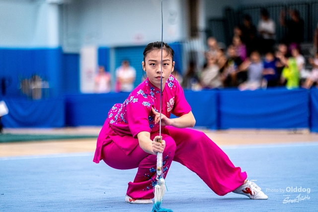 Wushu-248