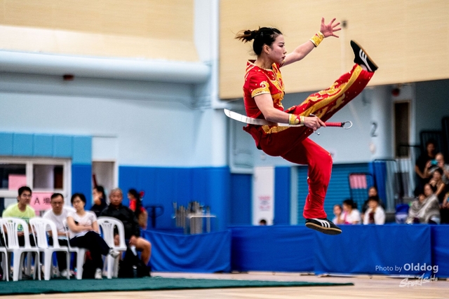 Wushu-254