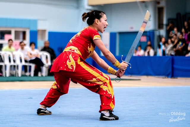 Wushu-259