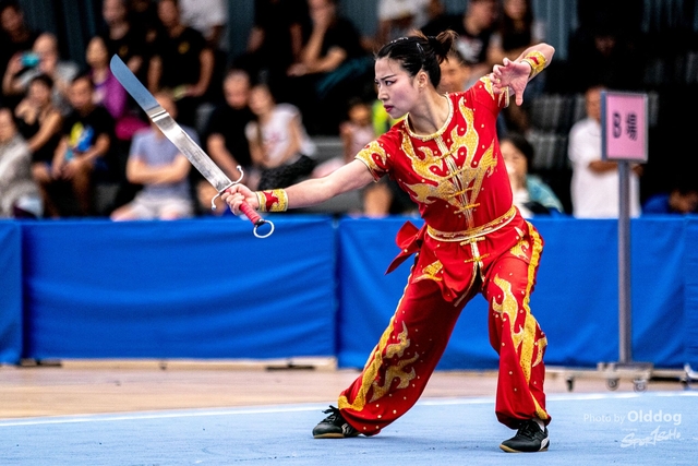 Wushu-260
