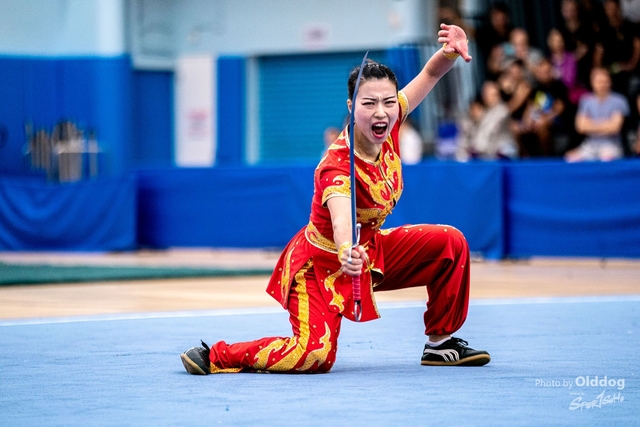 Wushu-263