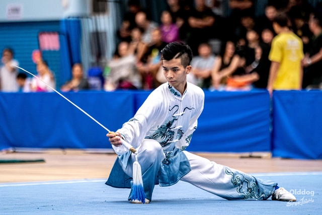 Wushu-290