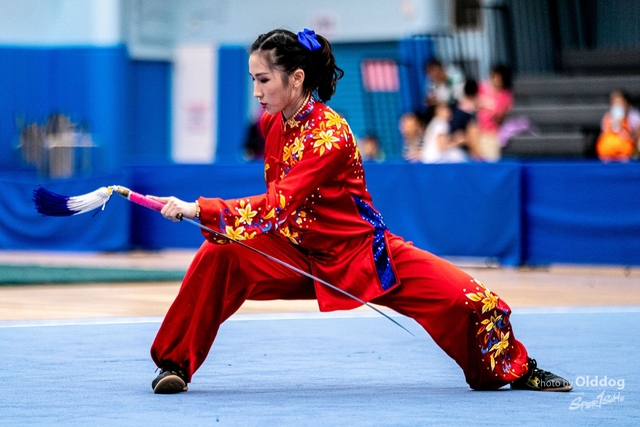 Wushu-353