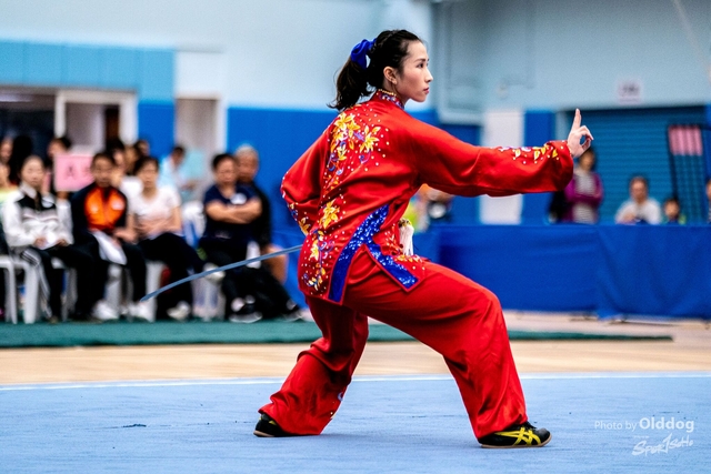 Wushu-355