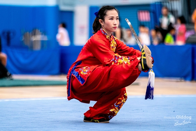 Wushu-357