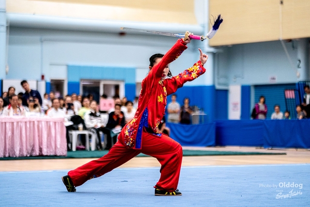 Wushu-360