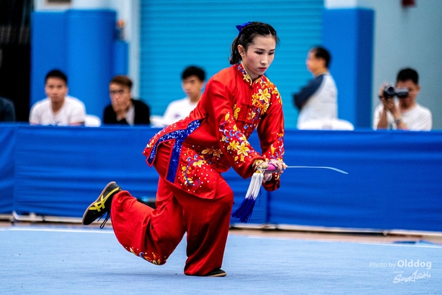 Wushu-365