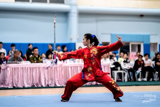 Wushu-371