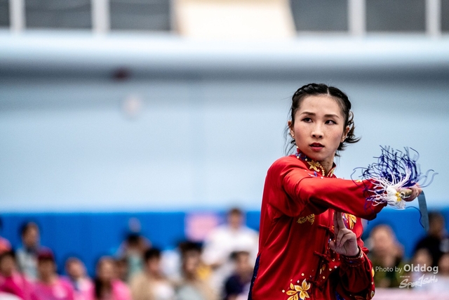 Wushu-377