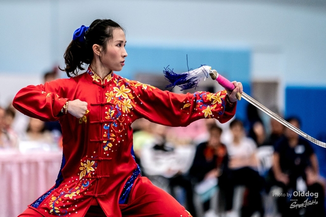 Wushu-380