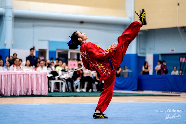 Wushu-381