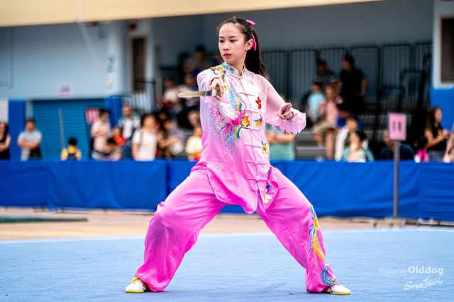 Wushu-390