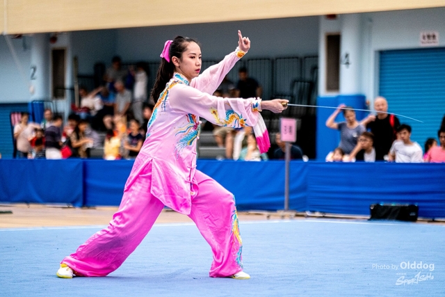 Wushu-391