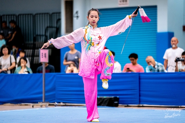 Wushu-393