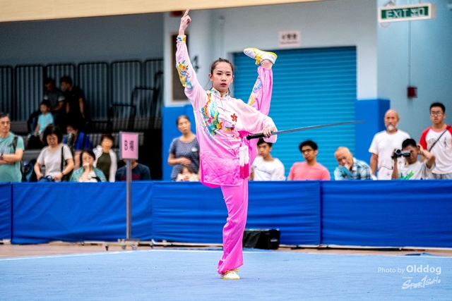 Wushu-394