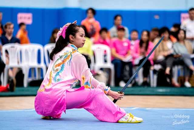 Wushu-399