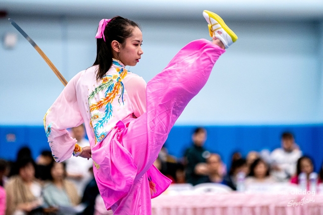 Wushu-400