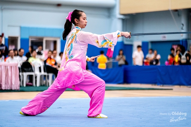 Wushu-403