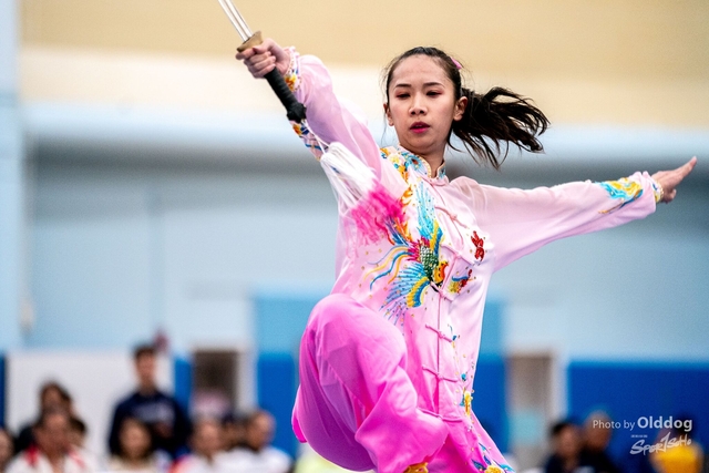 Wushu-404
