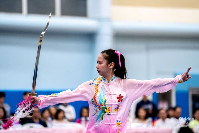 Wushu-410