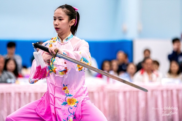 Wushu-412
