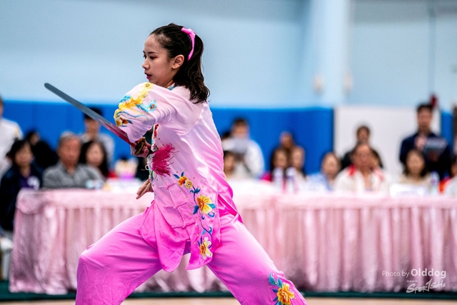 Wushu-413