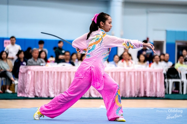 Wushu-414