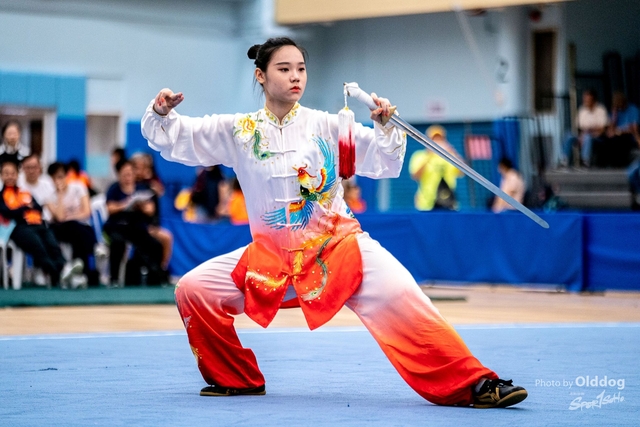 Wushu-419