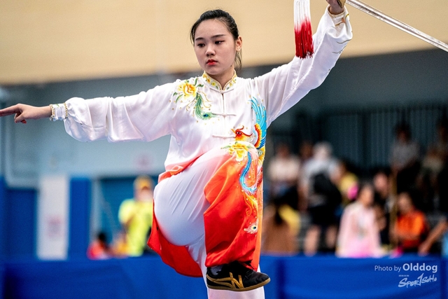 Wushu-421