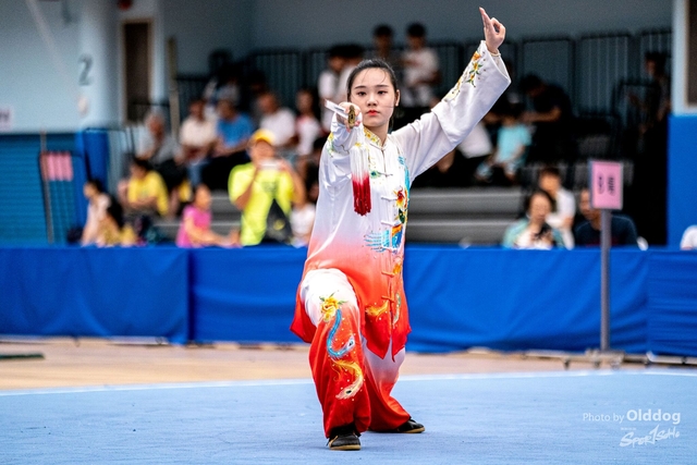 Wushu-430