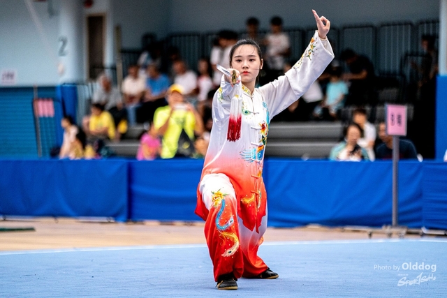 Wushu-431