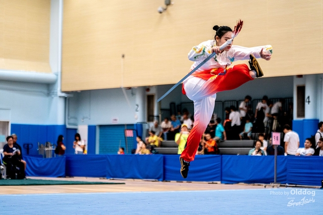 Wushu-433