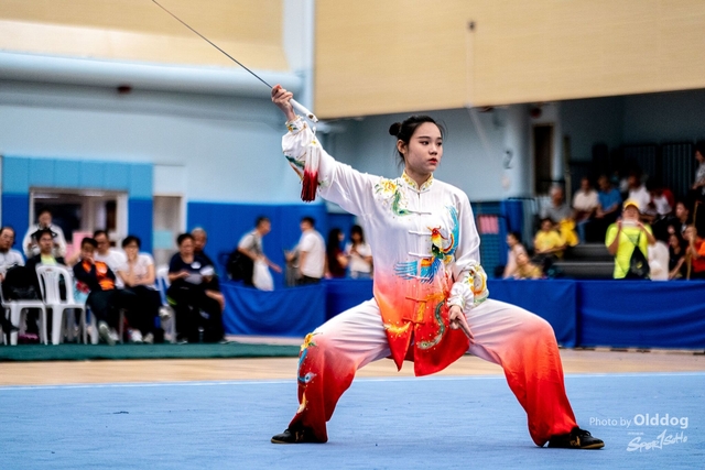 Wushu-434