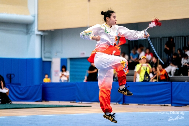 Wushu-439