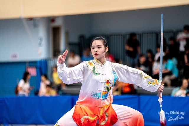 Wushu-441