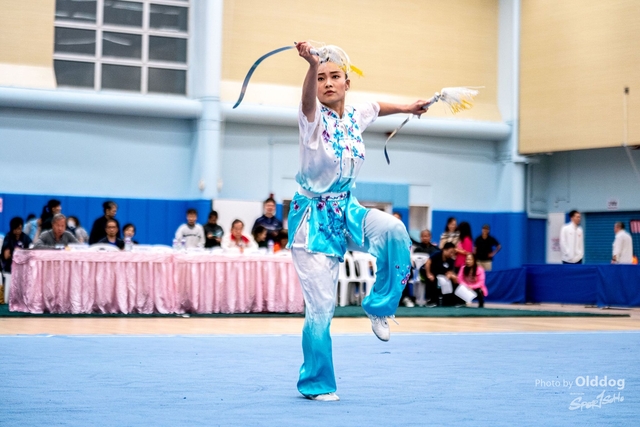 Wushu-444