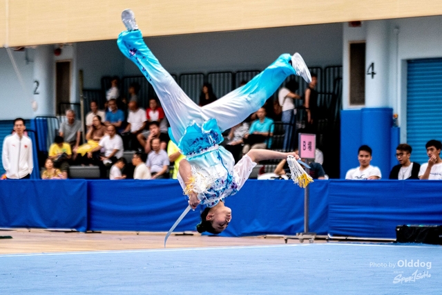 Wushu-445