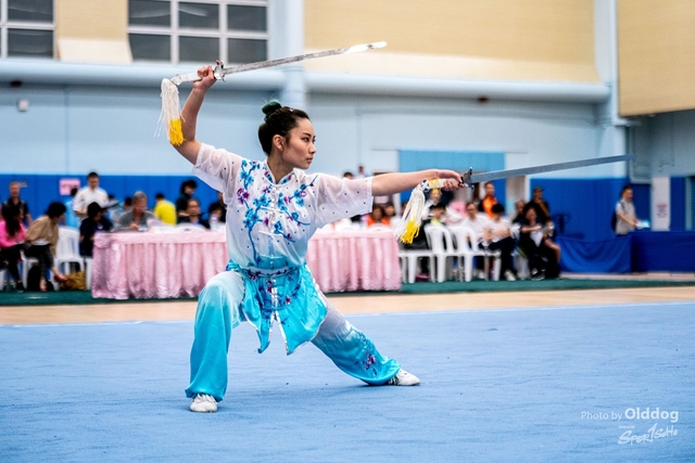 Wushu-450