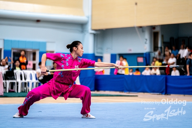 Wushu-488