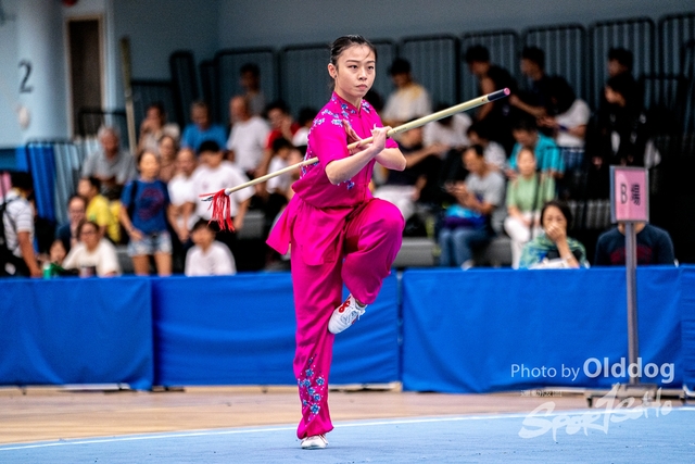Wushu-497