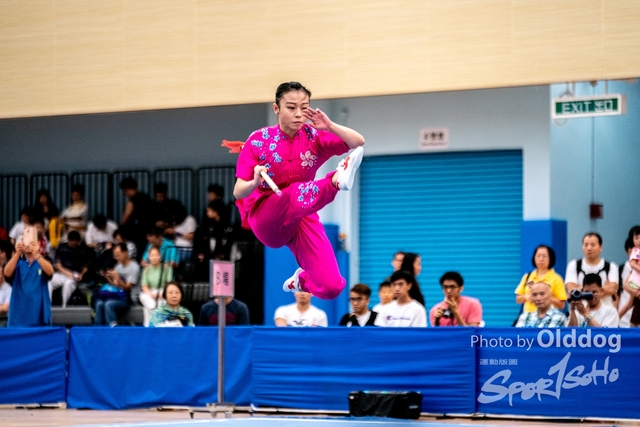 Wushu-498