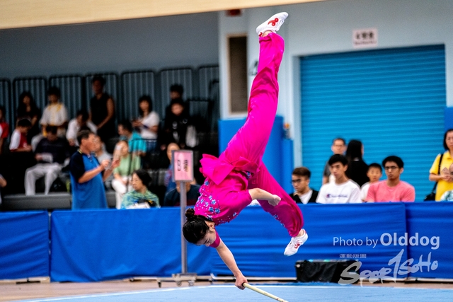 Wushu-505