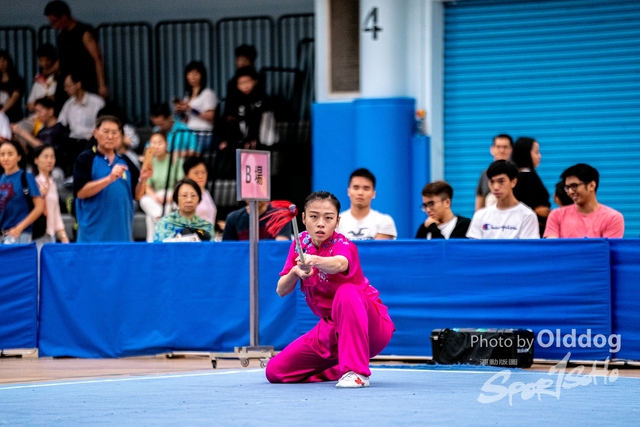 Wushu-506