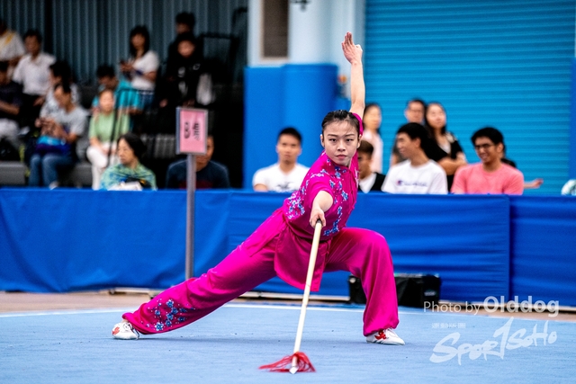 Wushu-508
