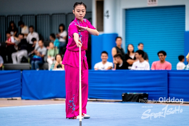 Wushu-510