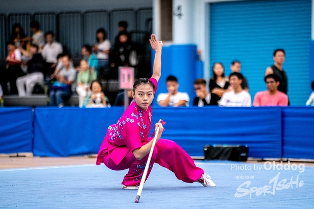 Wushu-511